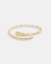 BN00121_Haileys_Comet_Halo_and_Bliss_01