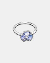 RN4856 - CS Clover Ring - Dubai April44628